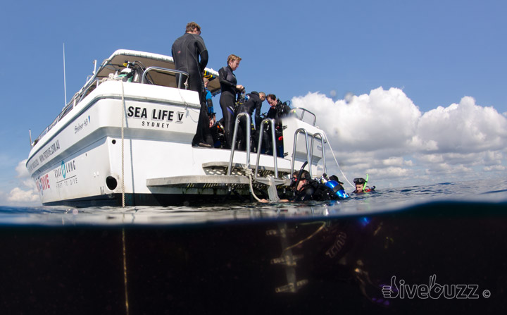 Boat dive Sydney aboard Pro Dive’s Sealife V