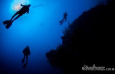 Qualified vs Experienced? Becoming a better SCUBA diver