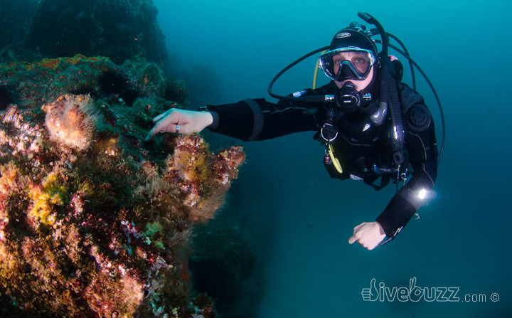 Tips for diving in a current