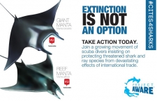 Extinction is not an option
