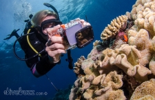 Buoyancy control for underwater photographers
