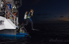 10 tips for night diving