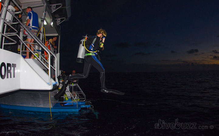 10 tips for night diving